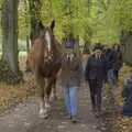 An enormous Suffolk Punch clops up the avenue, A B-17 Memorial, The Oaksmere Hotel, Brome, Suffolk - 10th November 2023