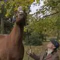 The horse tries to eat the tree, A B-17 Memorial, The Oaksmere Hotel, Brome, Suffolk - 10th November 2023