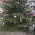 Primary school kids have hung randomness on the tree, The Lost Architecture of Ipswich, Suffolk - 11th December 2023