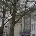 Lights in the trees on Gentleman's Walk, SYWO and Christmas Eve in Norwich, Norfolk - 24th December 2023