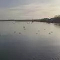 The River Deben, A February Miscellany, Diss and Woodbridge, Suffolk - 3rd February 2024