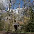 The Thornham folly in the woods, A Return to the Walks, Thornham, Suffolk - 1st April 2024