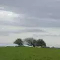 Windswept trees on a hill, A Postcard from Marlborough and a Walk on the Herepath, Avebury, Wiltshire - 8th April 2024