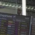 There's a starling in the departure lounge, A Couple of Days in Dublin, Ireland - 12th April 2024