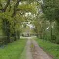 Up the drive to Warren Hills, A Walk to the Crossways Inn, Scole, Norfolk - 21st April 2024