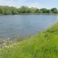 Isobel looks out over the now-full resevoir, The BSCC at The Half Moon, Rushall, Norfolk - 16th May 2024