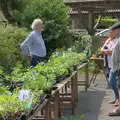 Tim looks out from behind a table of plants, The Village Hall Plant Sale, and a New Dinghy, Weybread, Norfolk - 19th May 2024