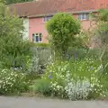 Cottage-garden daisies , LowFest at the Low House, Laxfield, Suffolk - 26th May 2024