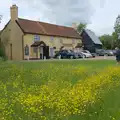 The Old Mill House and a carpet of buttercups, Saxtead Mill, Framlingham Gala and Chips on the Beach, Aldeburgh - 27th May 2024