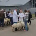 Sheep people mingle outside the show ring, Fred and the SYWO at the Suffolk Show, Trinity Park, Ipswich - 30th May 2024
