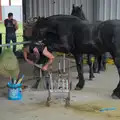 A horse gets its hoof filed, Fred and the SYWO at the Suffolk Show, Trinity Park, Ipswich - 30th May 2024