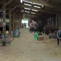 Inside the cow shed, Fred and the SYWO at the Suffolk Show, Trinity Park, Ipswich - 30th May 2024