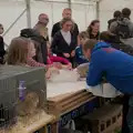 More rabbit interactions, Fred and the SYWO at the Suffolk Show, Trinity Park, Ipswich - 30th May 2024