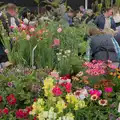 Colourful flowers in the garden marquee, Fred and the SYWO at the Suffolk Show, Trinity Park, Ipswich - 30th May 2024