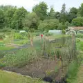 The Eye allotments, Open Gardens, Eye, Suffolk - 9th June 2024