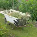 Being inventive with a half-bath wheelbarrow, Open Gardens, Eye, Suffolk - 9th June 2024