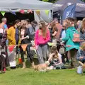 There's a dog show going on, The Carnival Procession, Diss, Norfolk - 16th June 2024