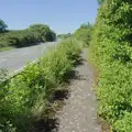 The bike path by the A143 is a bit overgrown, The BSCC at Finningham, and Stowmarket Teeth, Suffolk - 21st June 2024