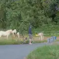 The Boy Phil visits the ponies, The BSCC at Redgrave, Noctilucent Clouds and a Village Hall Party, Brome - 29th June 2024