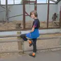 Harry looks at some monkeys, Harry at the Zoo, Banham, Norfolk - 28th July 2024