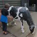 Harry checks over the old cow, Harry at the Zoo, Banham, Norfolk - 28th July 2024