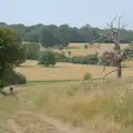 A dead tree in Ickworth Park, A Trip to Ickworth House with Sis, Horringer - 19th August 2024