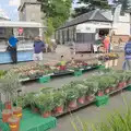 Plants for sale in the market, The Death of the Feather Factory, Diss, Norfolk - 30th August 2024