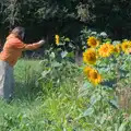 Isobel gets a photo, Sunflowers, A Quiz at Westhorpe and a GSB Duck Race, Eye - 29th September 2024