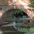 Alice looks up from under Abbey Bridge, Sunflowers, A Quiz at Westhorpe and a GSB Duck Race, Eye - 29th September 2024