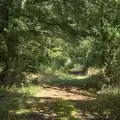 Judas Lane, between Thrandeston and Mellis, A Walk to the Railway Tavern, Mellis, Suffolk - 13th October 2024