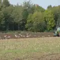 Seagulls peck over freshly-ploughed soil, A Walk to the Railway Tavern, Mellis, Suffolk - 13th October 2024