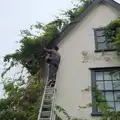 Some dude does wisteria pruning at the Crossways, A Quiz at Diss Golf Club, Stuston - 18th October 2024