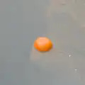 There's a pumpkin floating in the Riu Onyar, A Return to Girona, Catalunya, Spain - 29th October 2024