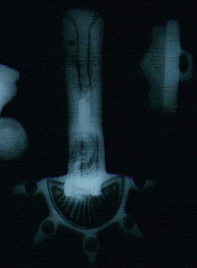 Saxon Horse x-ray