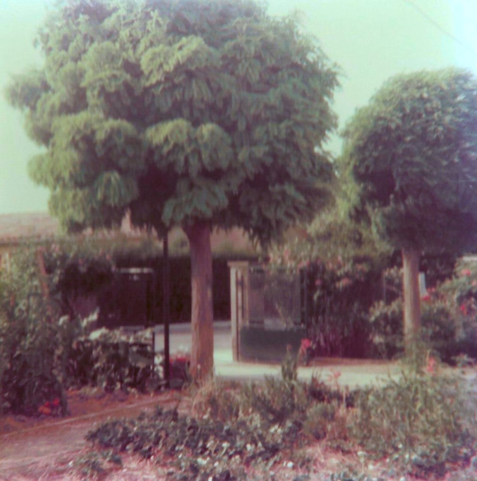 Claudine's front garden from A Trip to Bram, Aude, France - 25th July 1980