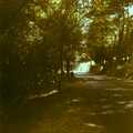A tree-lined road to somewhere, A Trip to Bram, Aude, France - 25th July 1980