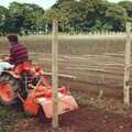 Mike weeds the rows with a small tractor, Constructing a Vineyard, Harrow Road, Bransgore, Dorset - 1st September 1981