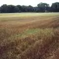 The stubble field that will become the vineyard, Constructing a Vineyard, Harrow Road, Bransgore, Dorset - 1st September 1981