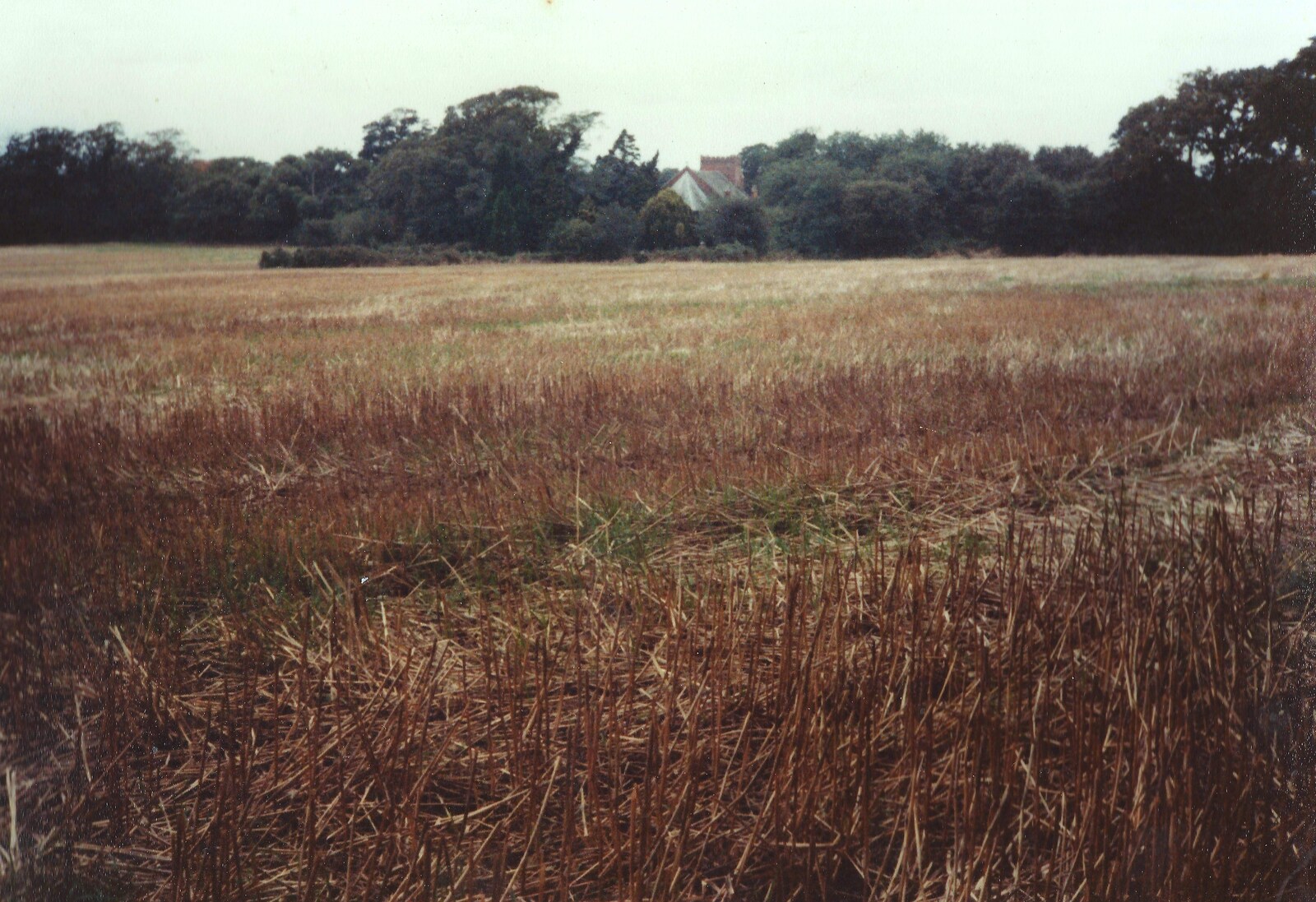 Looking across the subble towards the church from Constructing a Vineyard, Harrow Road, Bransgore, Dorset - 1st September 1981