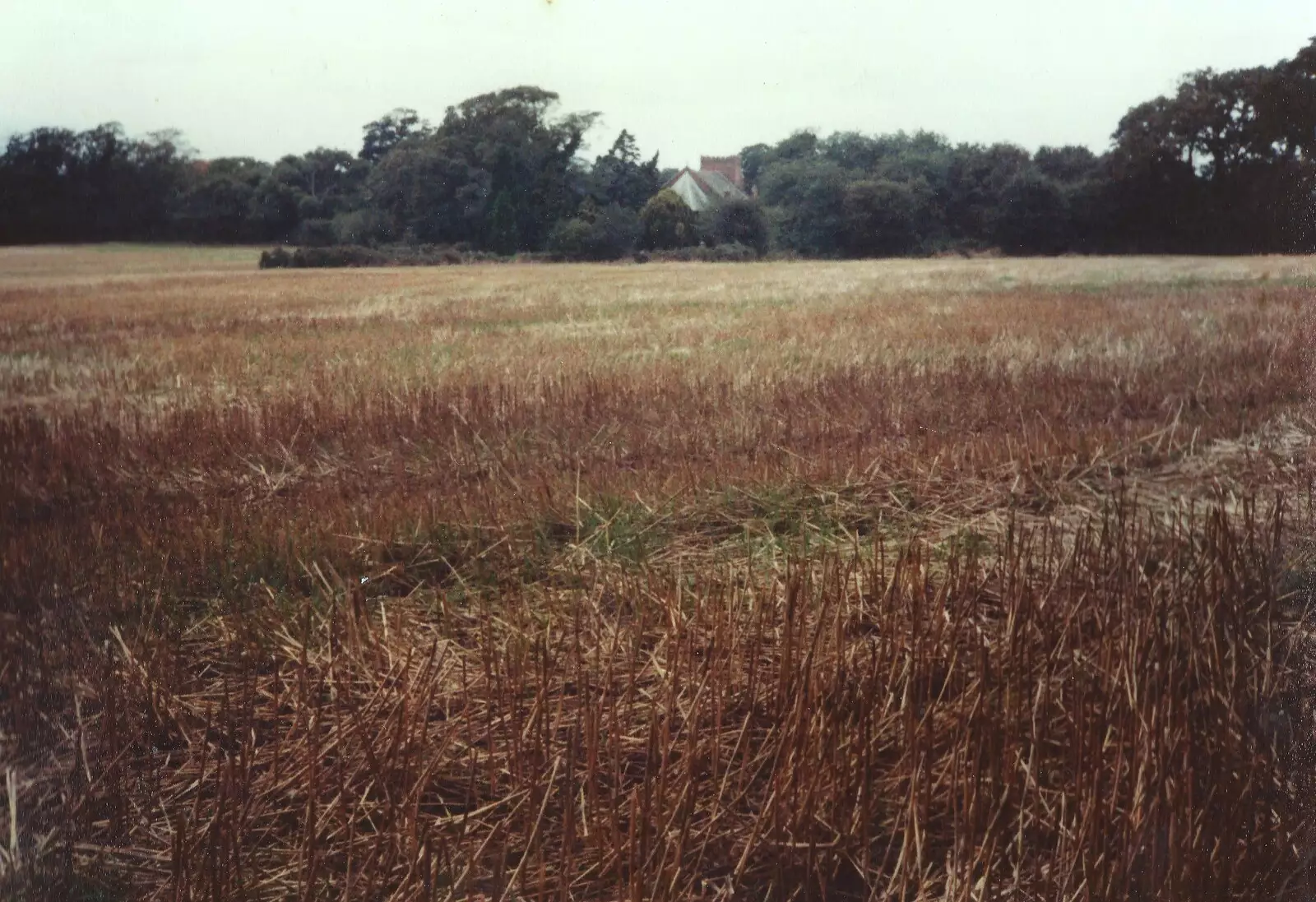 Looking across the subble towards the church, from Constructing a Vineyard, Harrow Road, Bransgore, Dorset - 1st September 1981