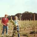 Kim trains more vines, Constructing a Vineyard, Harrow Road, Bransgore, Dorset - 1st September 1981