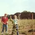 Kim trains more vines, Constructing a Vineyard, Harrow Road, Bransgore, Dorset - 1st September 1981