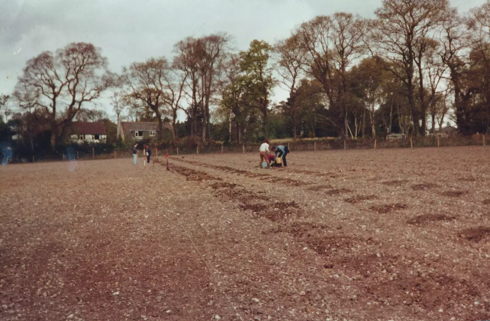 Lines of post holes, from Constructing a Vineyard, Harrow Road, Bransgore, Dorset - 1st September 1981