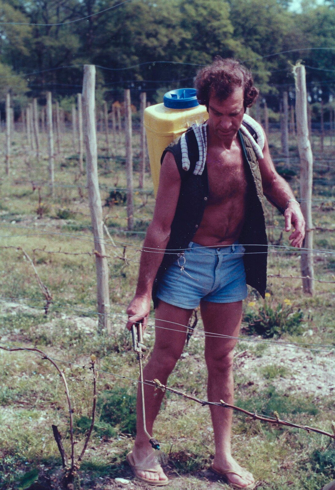 Mike does some spraying from Constructing a Vineyard, Harrow Road, Bransgore, Dorset - 1st September 1981