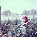 Mike's wife amongst the vines, Constructing a Vineyard, Harrow Road, Bransgore, Dorset - 1st September 1981