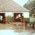 The grapes are unloaded at Wootton Vineyard, Constructing a Vineyard, Harrow Road, Bransgore, Dorset - 1st September 1981