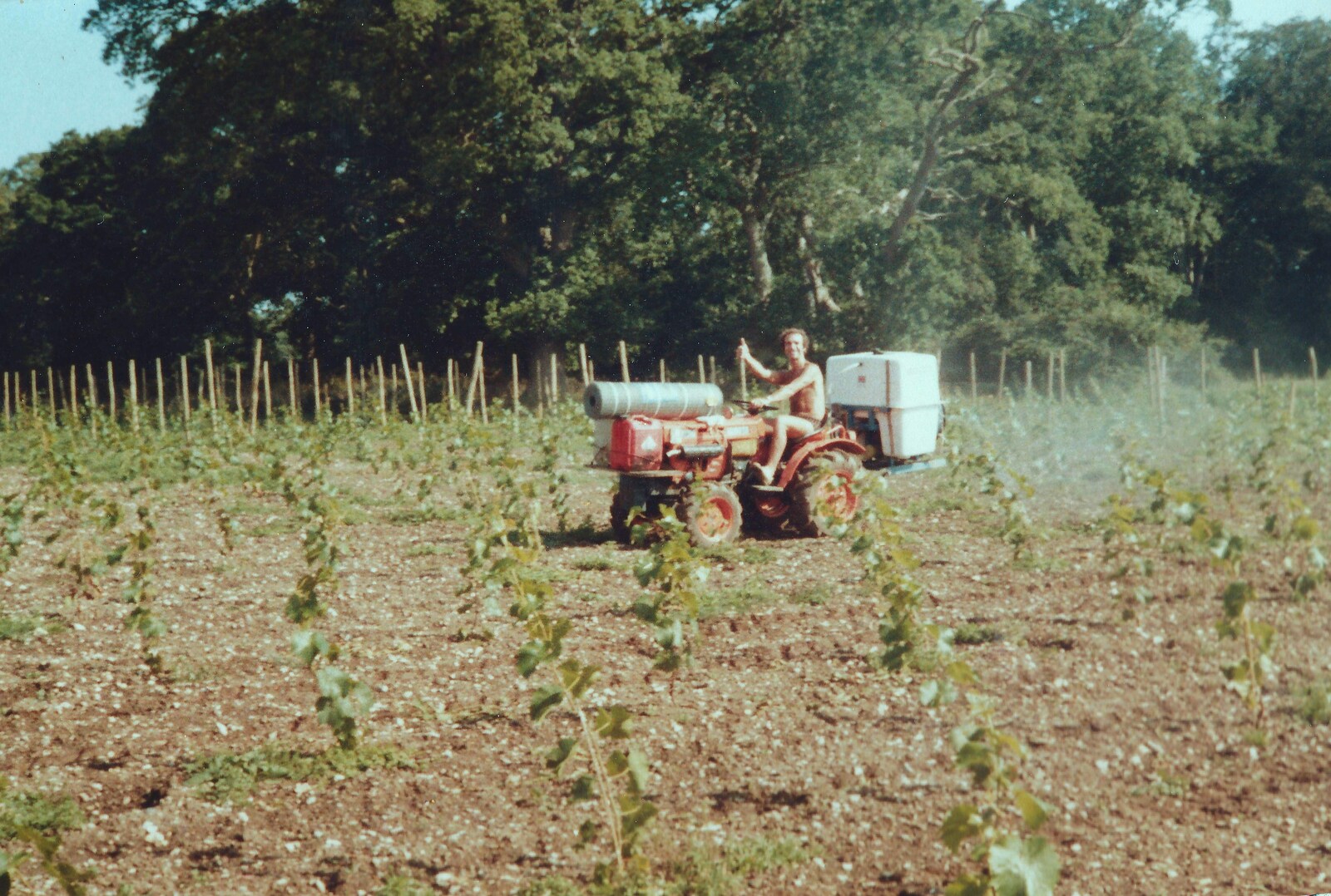 Mike does some tractor spraying from Constructing a Vineyard, Harrow Road, Bransgore, Dorset - 1st September 1981