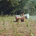 Mike does some tractor spraying, Constructing a Vineyard, Harrow Road, Bransgore, Dorset - 1st September 1981