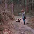 In the New Forest - Anna plays with her dog