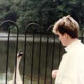 On a trip to Wiltshire after camping in Charmouth, Carol Vass (handle: Pink Lady) looks at a goose
